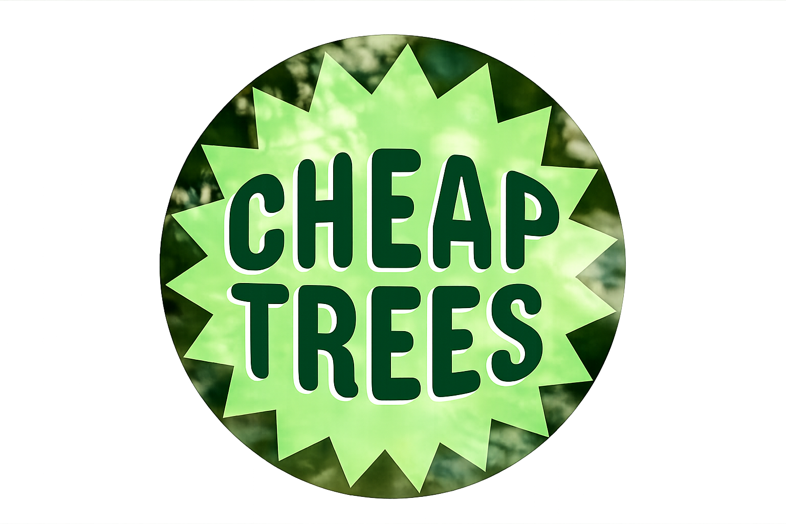 Chea Tree Cheap Trees - Weekly Discounted Tree Sales | Auckland
